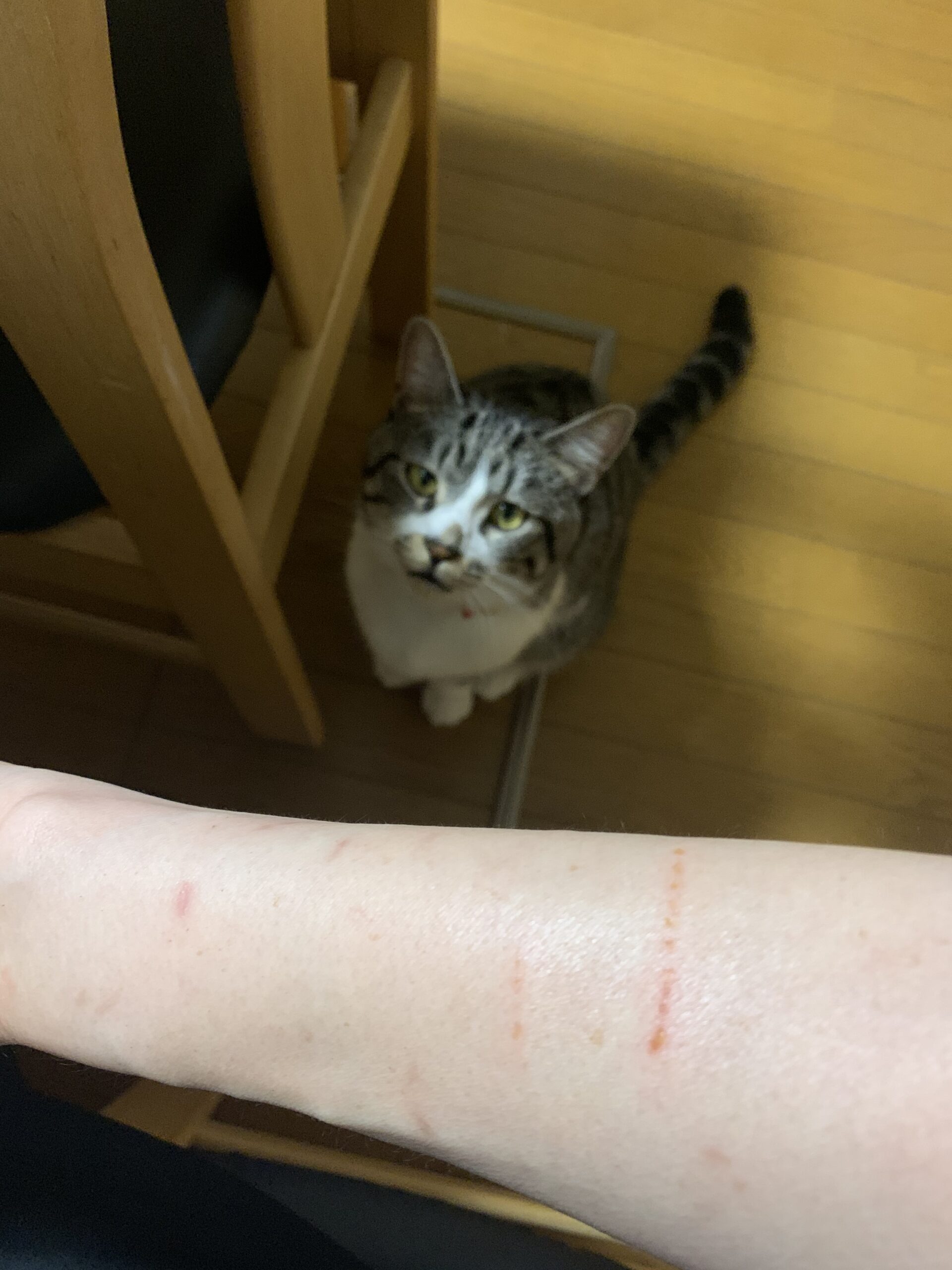 キッチンハイターで風呂のカビ取りキレイになる お醤油サバちゃん